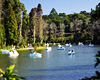 Lago Negro - Gramado - RS