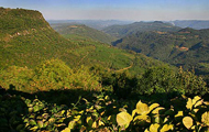 Mirante Laje de Pedra - Canela - RS